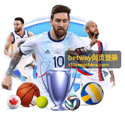 betway网页登录 网页端登录前的环境检查示意