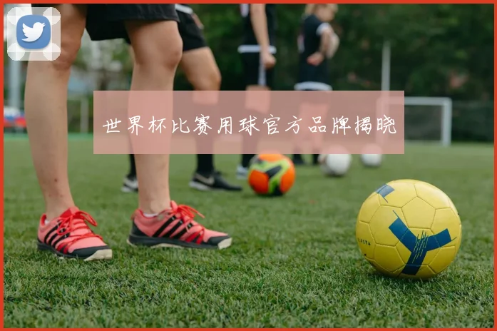 世界杯比赛用球官方品牌揭晓