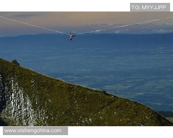 足球明星高空飞跃瞬间展现力量与技巧的完美结合
